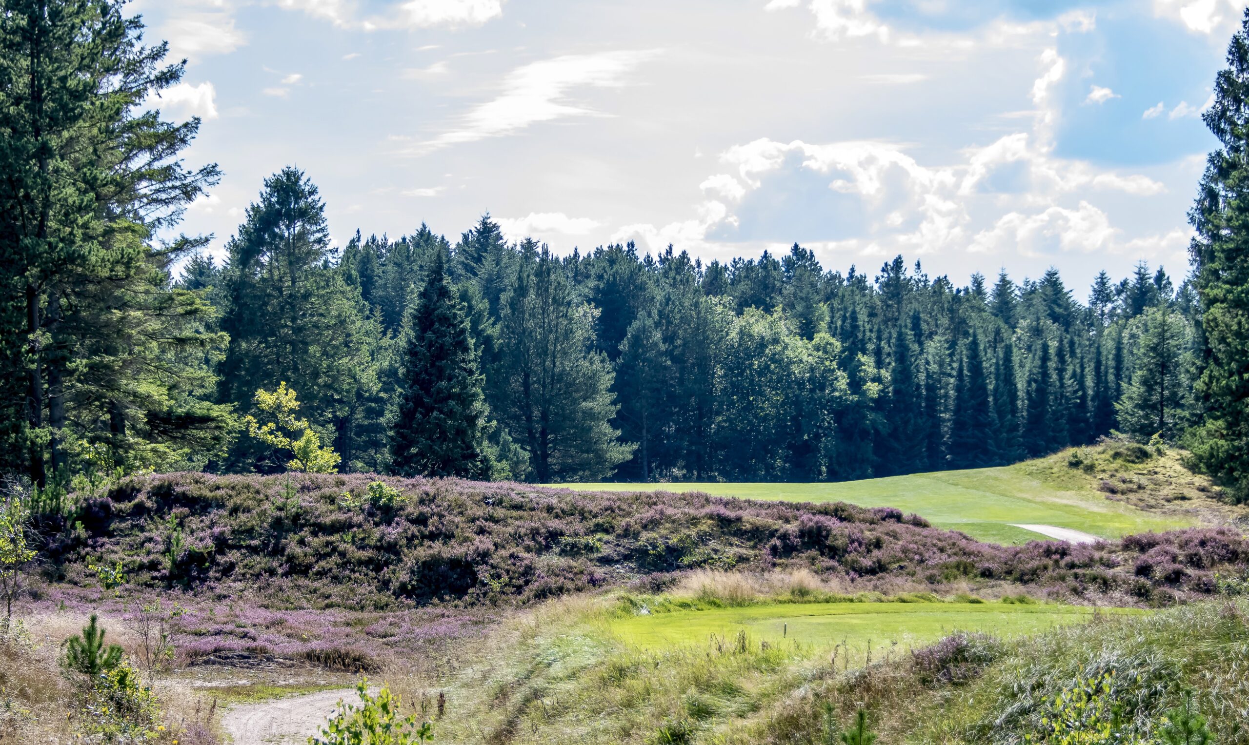 andrageren Vandt min Skovbanen i Råsted - Holstebro Golfklub