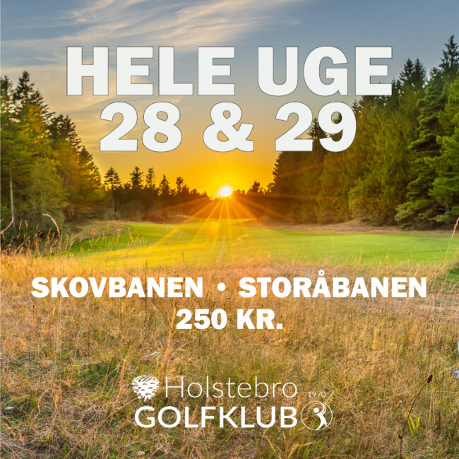 Uge28 29 2025 FB3